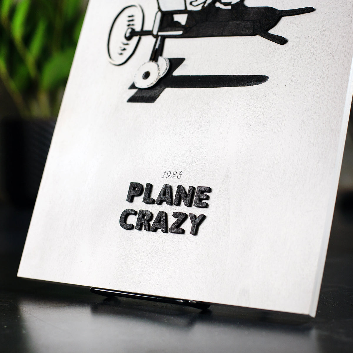 Plane Crazy Wall Art