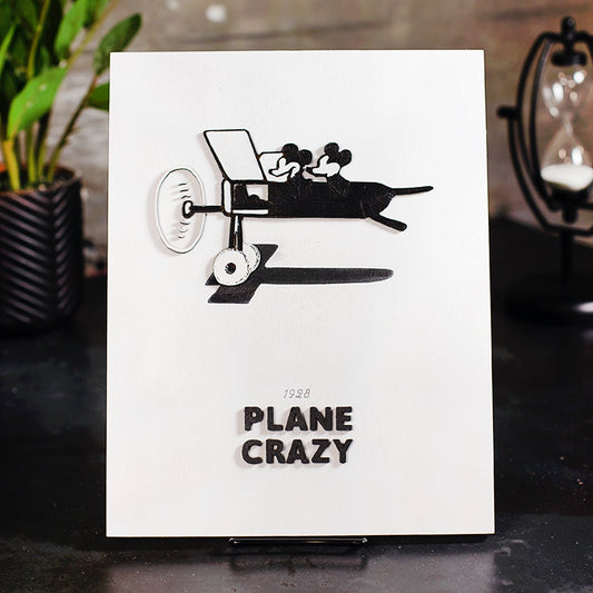 Plane Crazy Wall Art